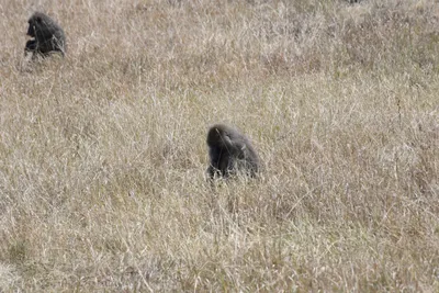 DSC_3600 (Large).JPG